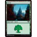 Forest - Foil