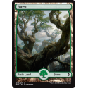 Forêt (274) - Full Art