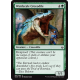 Wardscale Crocodile - Foil