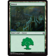 Forest (Version 3) - Foil