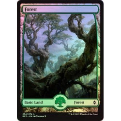 Forest (274) - Full Art Foil