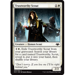 Trustworthy Scout