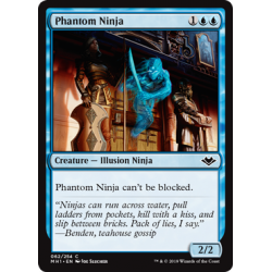Phantom-Ninja