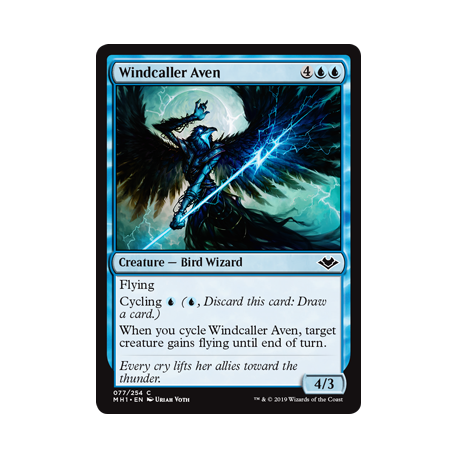 Avemain meneur de vent - Foil