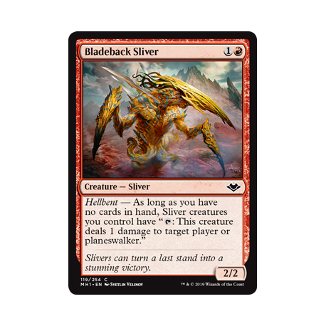 Slivoïde dorselame - Foil