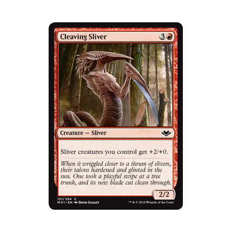 Slivoïde tranchant - Foil