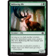 Bellowing Elk - Foil