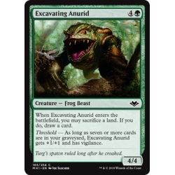 Excavating Anurid - Foil