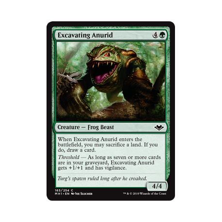 Excavating Anurid - Foil