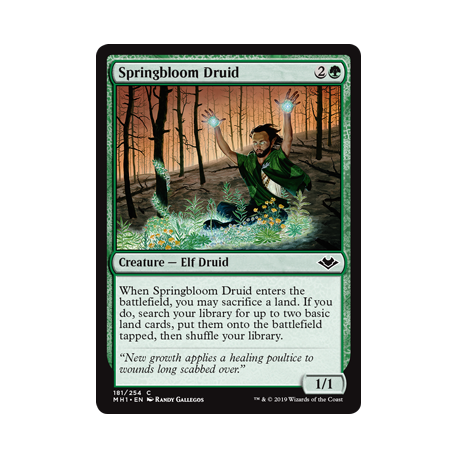 Springbloom Druid - Foil