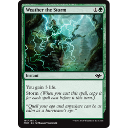 Weather the Storm - Foil