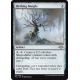 Birthing Boughs - Foil