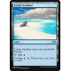 Lonely Sandbar - Foil