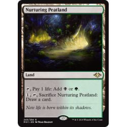 Nurturing Peatland - Foil