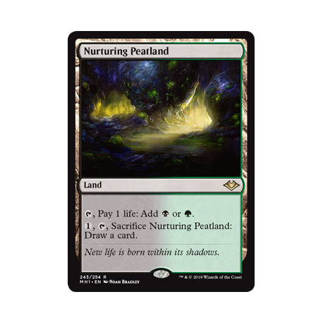 Nurturing Peatland - Foil