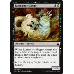 Rotfeaster Maggot