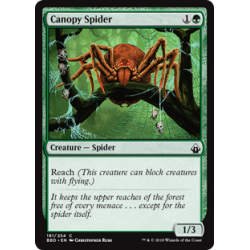 Canopy Spider