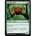 Canopy Spider