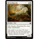 Silverchase Fox - Foil