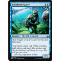 Coralhelm Guide - Foil