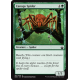 Canopy Spider - Foil