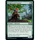 Brightwood Tracker - Foil