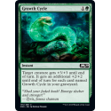Growth Cycle - Foil