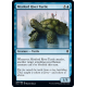 Mistford River Turtle - Foil