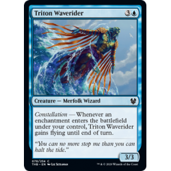Tritonier-Wellenreiter