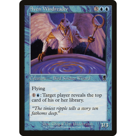 Aven Windreader - Foil