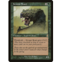 Bête de la Krosia - Foil