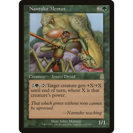 Mentor nantuko - Foil