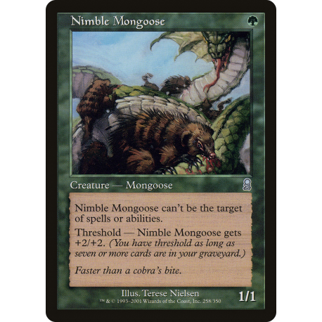 Nimble Mongoose - Foil