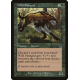 Wild Mongrel - Foil