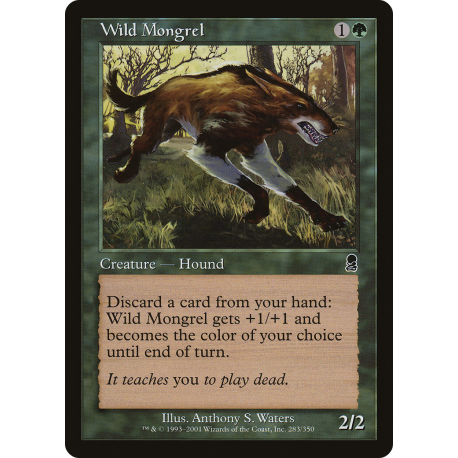 Wild Mongrel - Foil