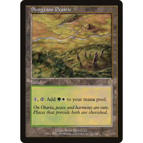 Prateria di Solerba - Foil