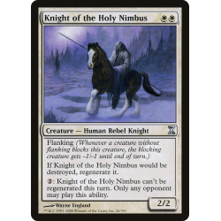Knight of the Holy Nimbus