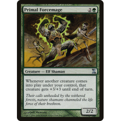 Primal Forcemage