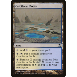 Calciform Pools - Foil