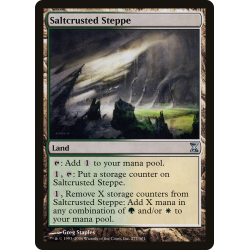 Salzverkrustete Steppe - Foil