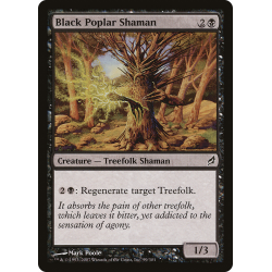 Black Poplar Shaman