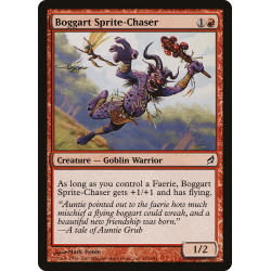 Boggart chasse-farfadet