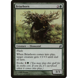 Briarhorn - Foil