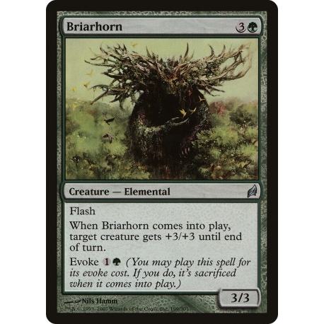 Corne de bruyère - Foil