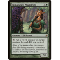 Magistrat immaculé - Foil