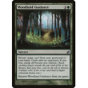 Woodland Guidance