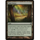 Vivid Grove - Foil