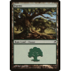 Forest - Foil