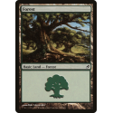 Forest - Foil