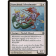 Stonybrook Schoolmaster - Foil